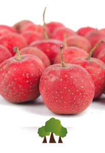 Acerola Acerola