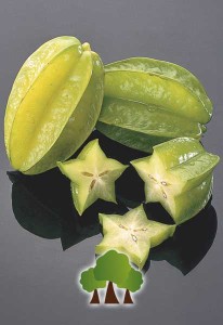 Carambola Carambola