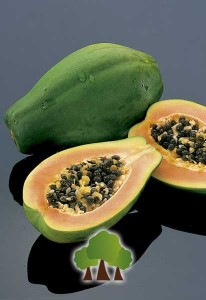 Papaia